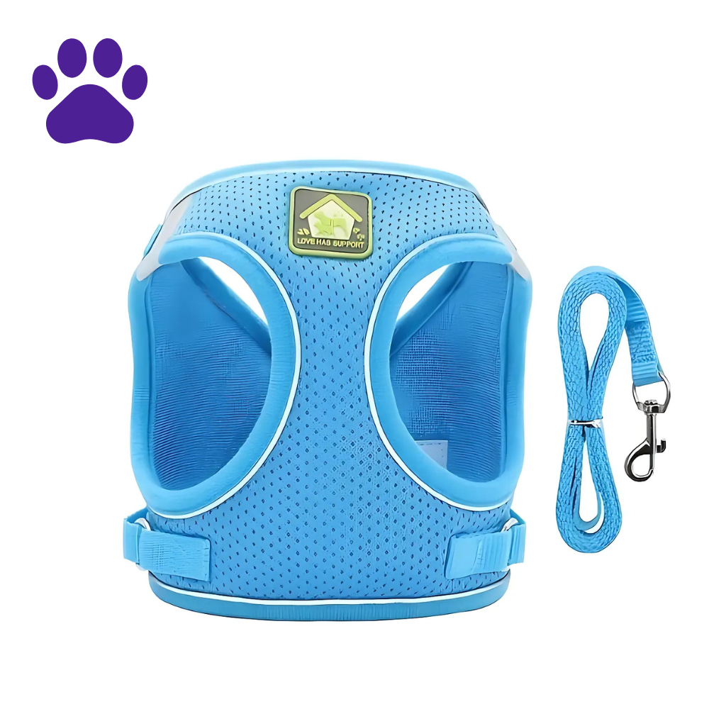 Peitoral e Guia Reflexiva - Patabella