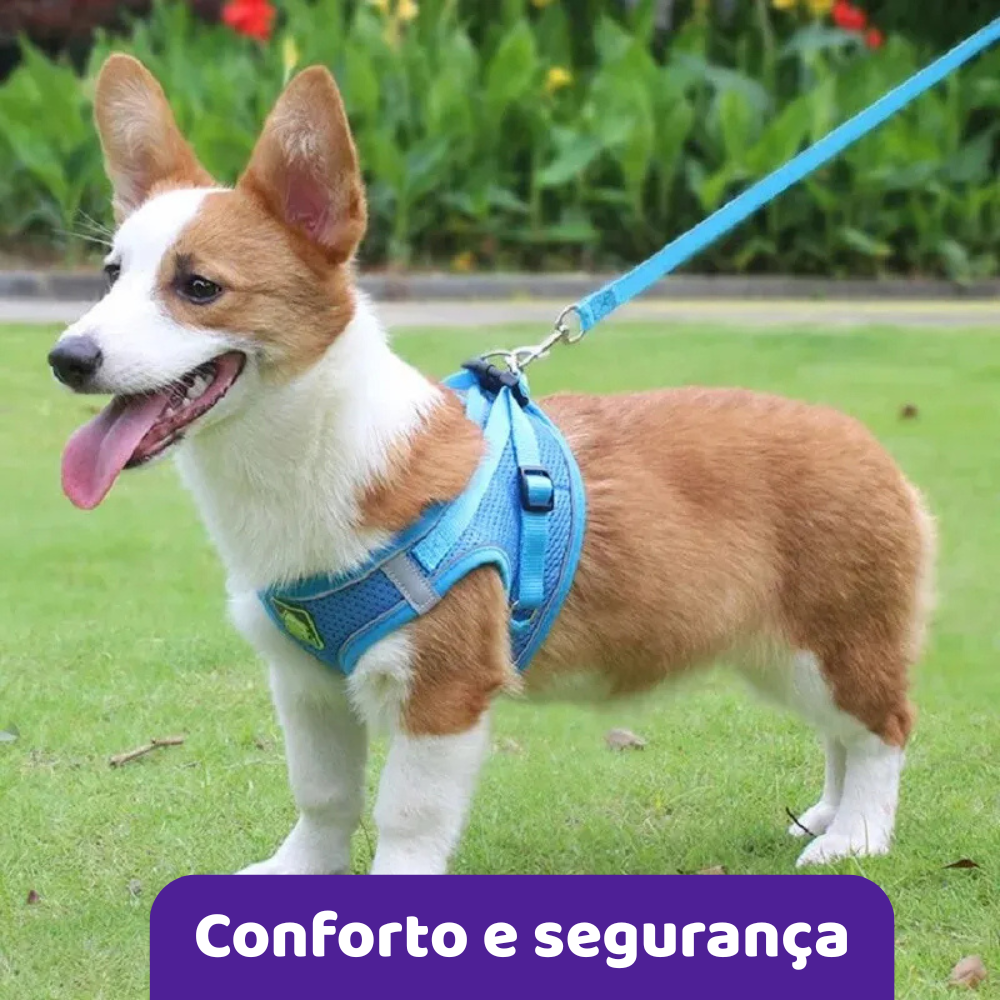 Peitoral e Guia Reflexiva - Patabella