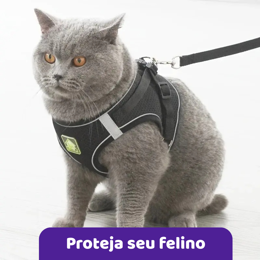 Peitoral e Guia Reflexiva - Patabella