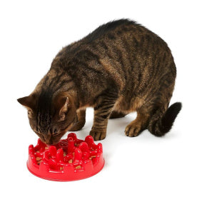 Comedouro Inteligente Mini Pet Fit - Patabella