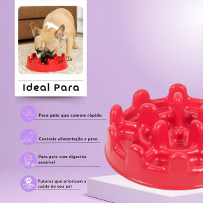Comedouro Inteligente Mini Pet Fit - Patabella