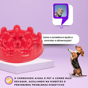 Comedouro Inteligente Mini Pet Fit - Patabella