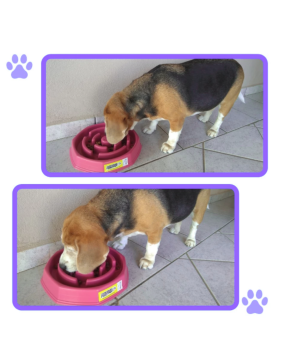 Comedouro Lento Educador - Patabella.