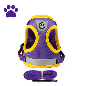 Conjunto de Arnês e Coleira para Cães e Gatos - Leveza, Segurança e Estilo para o Verão.