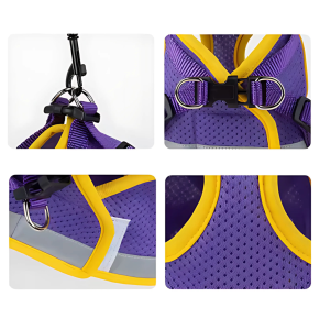 Conjunto de Arnês e Coleira para Cães e Gatos - Leveza, Segurança e Estilo para o Verão.