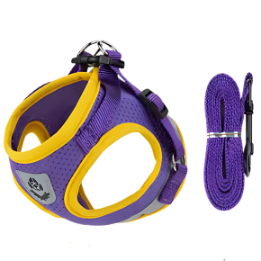 Conjunto de Arnês e Coleira para Cães e Gatos - Leveza, Segurança e Estilo para o Verão.