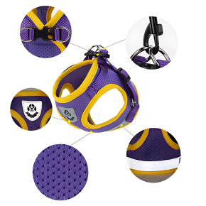 Conjunto de Arnês e Coleira para Cães e Gatos - Leveza, Segurança e Estilo para o Verão.