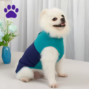 Roupa de Lã para Cães Pequenos Conforto e Estilo nas Meias - Estações