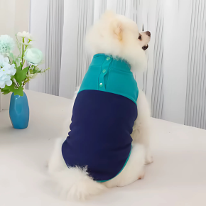 Roupa de Lã para Cães Pequenos Conforto e Estilo nas Meias - Estações